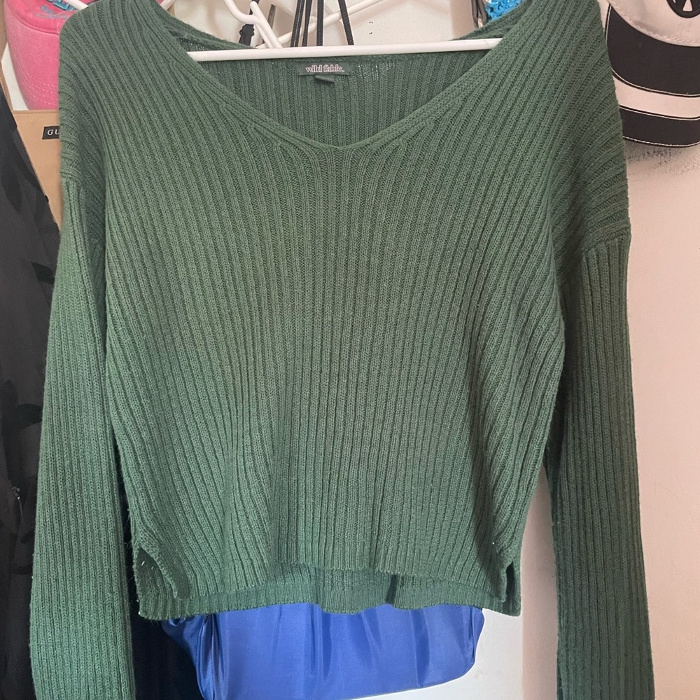 Target wild fable green sweater